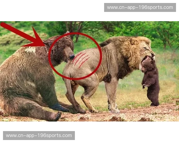 跨越英吉利海峡的史诗对决:当三狮军团遇上高卢雄鸡,谁才是欧罗巴的真王?